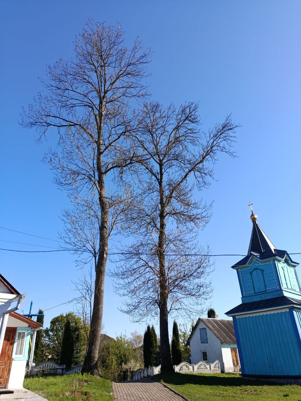 photo_2025-07-03_16-59-31